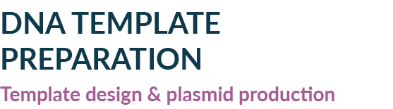 DNA TEMPLATE PREPARATION Template design & plasmid production 