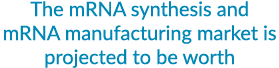 The mRNA synthesis and mRNA manufacturing market is projected to be worth