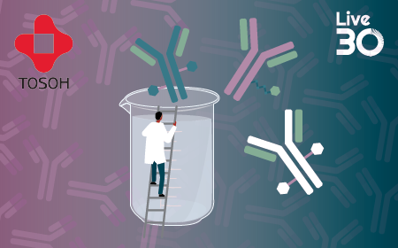 Optimizing HIC for rapid and in-depth ADC characterization