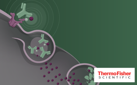 Precision bioconjugation and intracellular trafficking assays to uncover therapeutic antibody performance