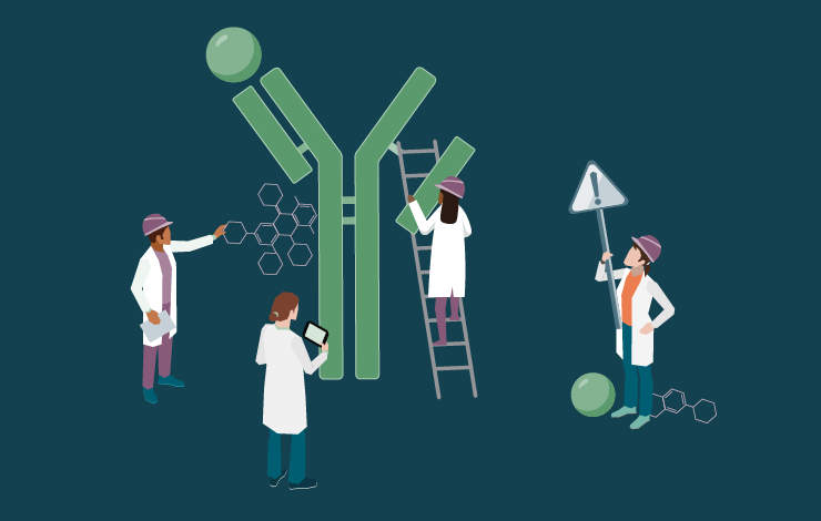 Accelerating success: advanced developability strategies for bioconjugates and ADCs