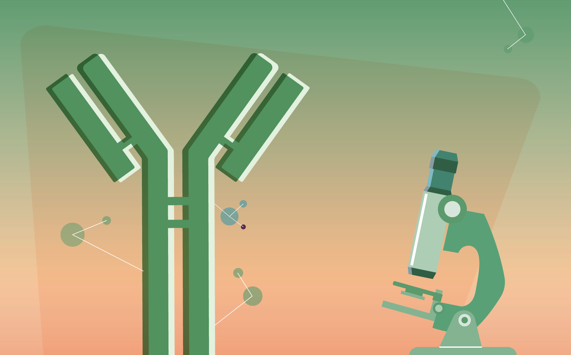 Translating preclinical insights into clinical success: bench to bedside ADCs