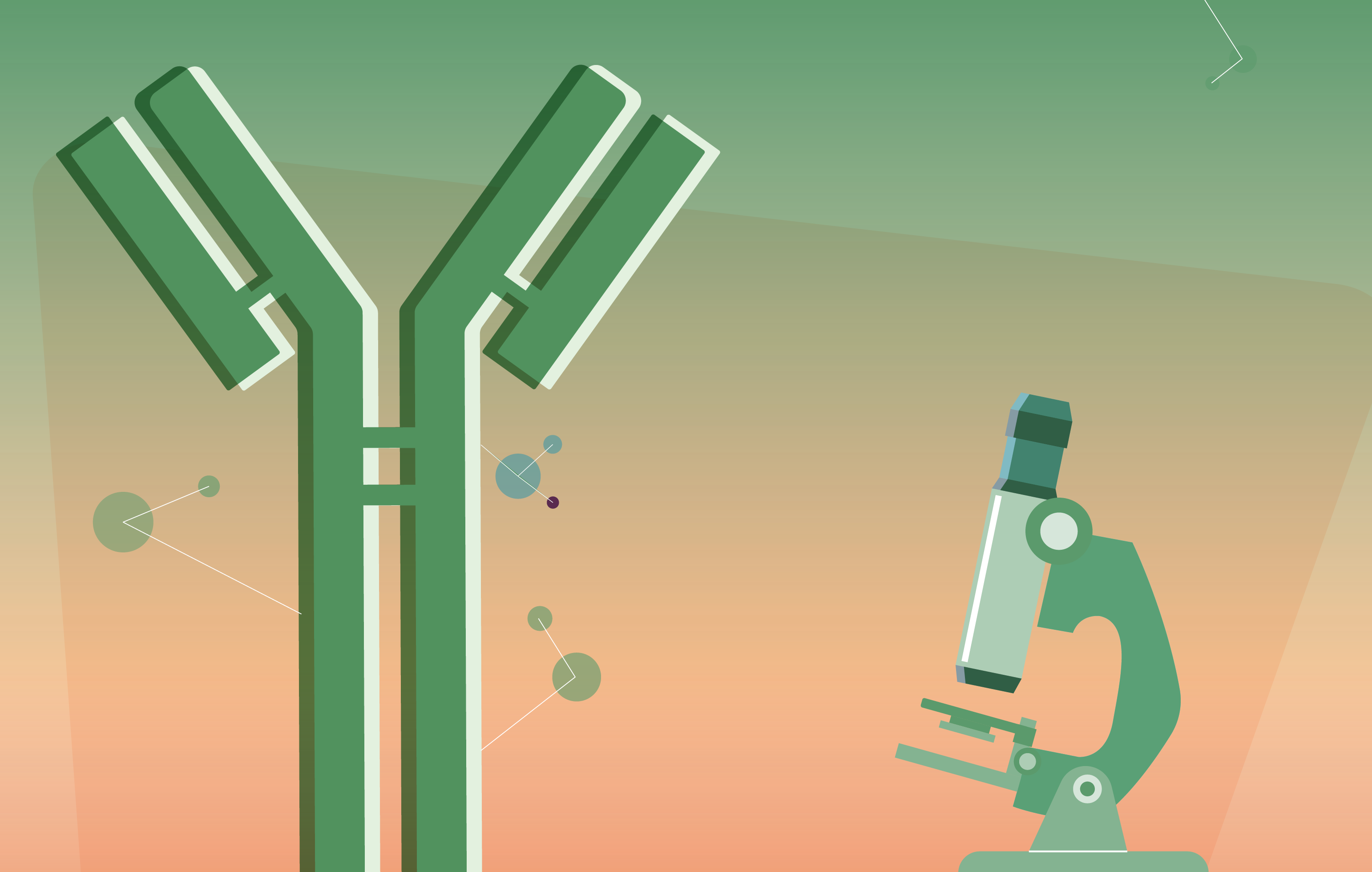 Translating preclinical insights into clinical success: bench to bedside ADCs