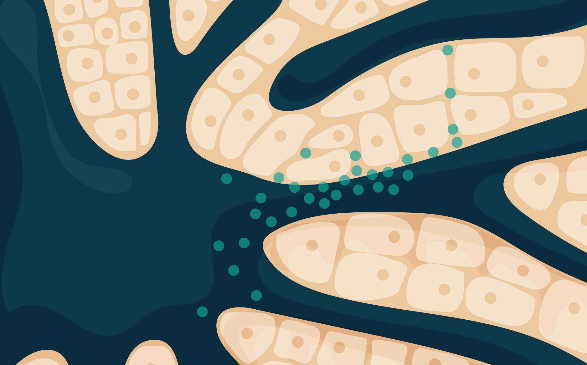 Beyond the liver: how conjugation is advancing delivery for oligonucleotide therapeutics 