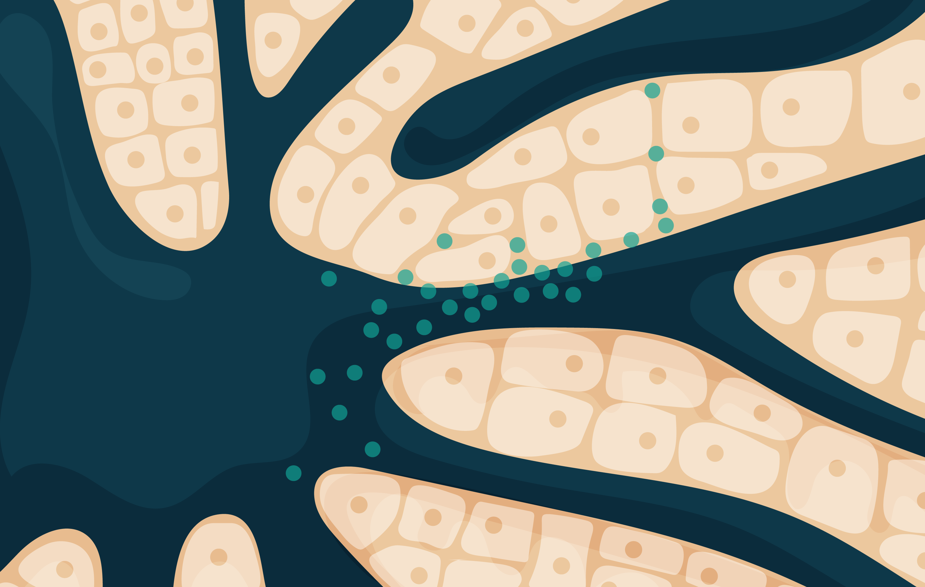 Beyond the liver: how conjugation is advancing delivery for oligonucleotide therapeutics 