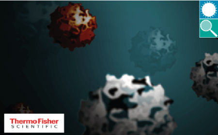 Combining state-of-the-art production, purification and analytics to optimize AAV manufacturing for clinical and commercial gene therapies