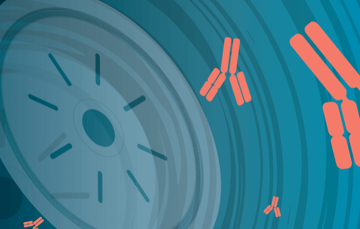 Capsid titre quantification for AAV-based therapeutics
