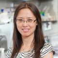 Xiuyan Wang PhD