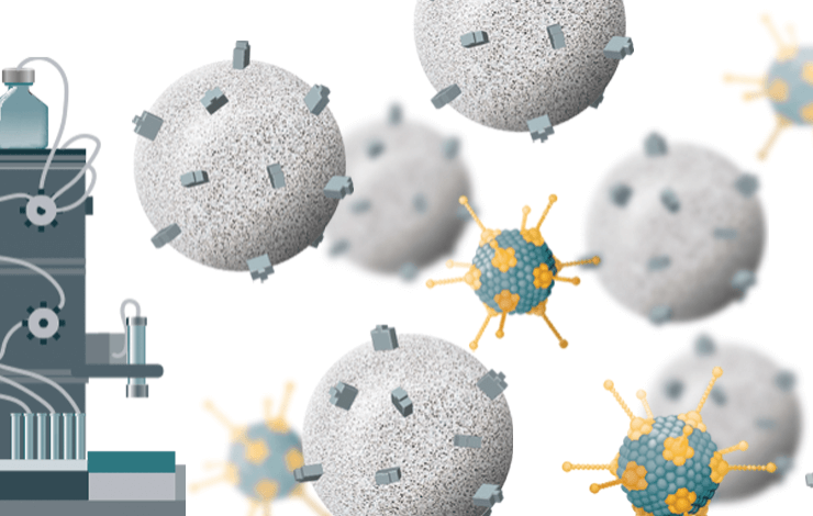 Development of a purification step for several AAV serotypes using POROS™ CaptureSelect™ AAVX affinity chromatography