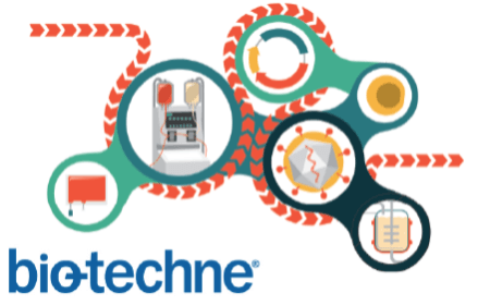 Planning for success: emerging GMP-grade raw materials & technologies for cell therapy