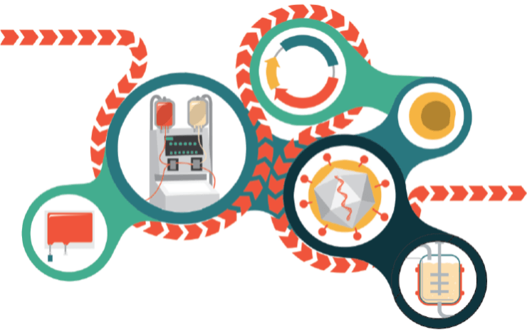 Planning for success: emerging GMP-grade raw materials & technologies for cell therapy