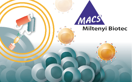 Designing GMP-friendly cell and gene therapy manufacturing processes