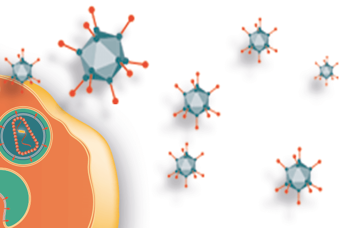 Closing the production gap in gene therapy – A scalable helper virus-free AAV production platform