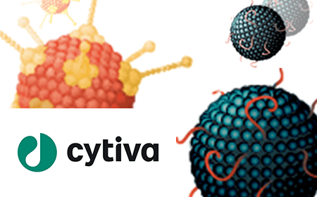 Optimizing the workflow for therapeutic viral vectors – upstream and downstream
