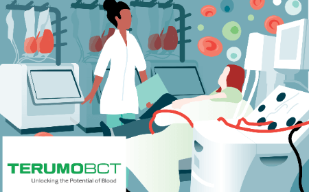 Challenges of cell collections for cell therapy manufacturing: what do we want in the bag?