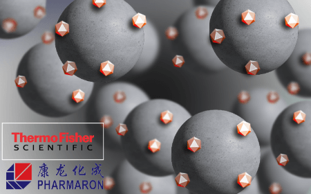 Evaluation and performance of an AAV affinity resin: a CDMO case study