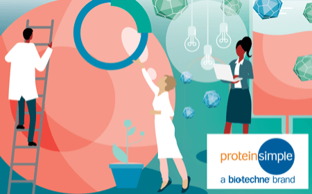 Innovative capillary electrophoresis techniques for gene therapy R&D