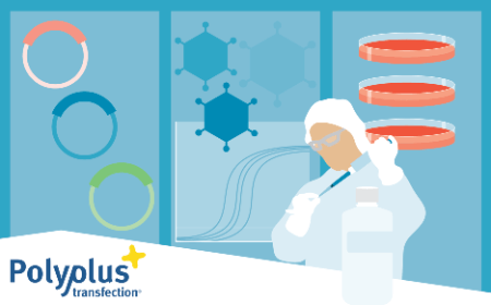 Case study: Optimization of lentiviral vector production from early stages to GMP   