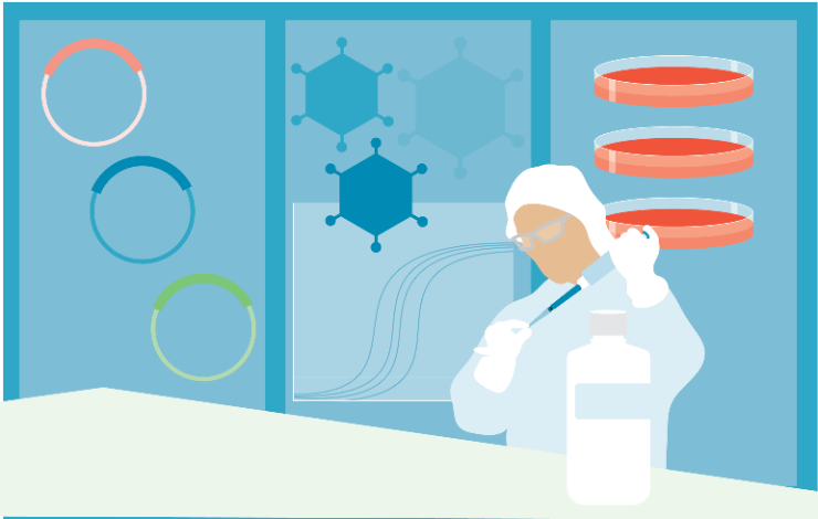 Case study: Optimization of lentiviral vector production from early stages to GMP   