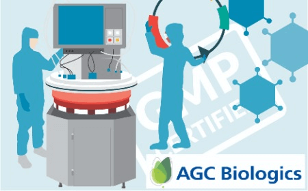 Large-scale LVV production: from industry-leading process development to high quality GMP vector 