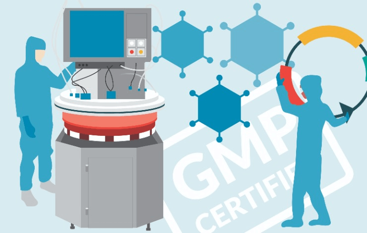 Large-scale LVV production: from industry-leading process development to high quality GMP vector 