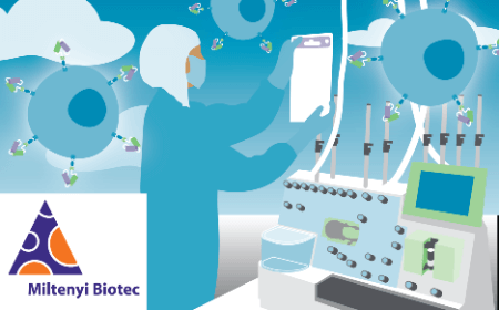 Navigating current translational challenges in establishing clinical CAR T cell therapy manufacture