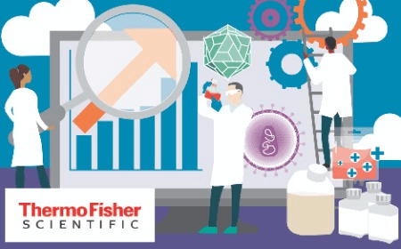 Optimizing downstream purification of high-quality plasmid DNA for gene therapy and vaccine production