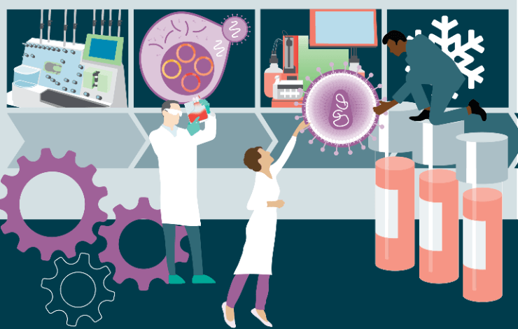 The setup and payoff: entering the clinic and the market efficiently by leveraging a platform lentiviral vector process
