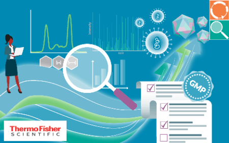 Simplifying analytical development for viral vector production: robust and sensitive methods for common expression systems