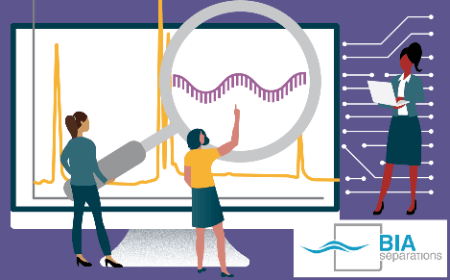 Increasing productivity of IVT reaction using at-line monitoring by HPLC chromatography