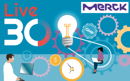Process development innovations to improve gene therapy manufacturing