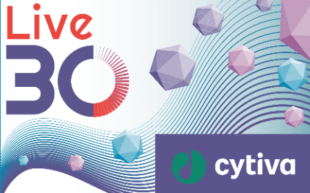 From cells to purified capsids: How to develop a scalable rAAV process