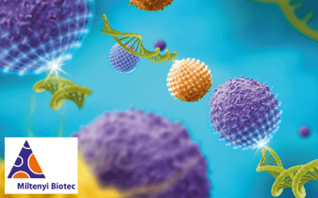 Thinking translational: Things to consider in CAR T cell research workflows