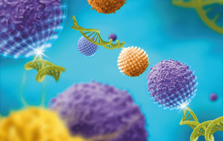 Thinking translational: Things to consider in CAR T cell research workflows
