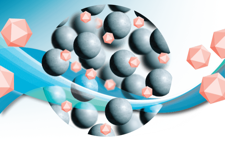 Advancing gene therapy development with a multi-serotype AAV affinity resin