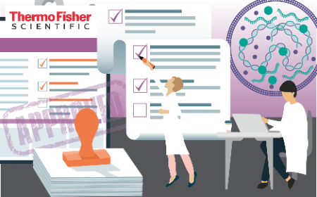 Mycoplasma testing regulatory guidance and strategies for cGMP cell and gene therapy manufacturing
