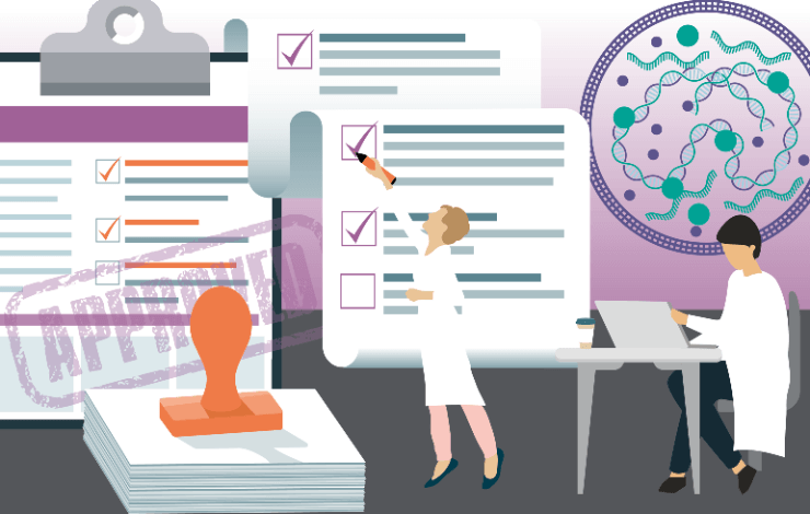 Mycoplasma testing regulatory guidance and strategies for cGMP cell and gene therapy manufacturing
