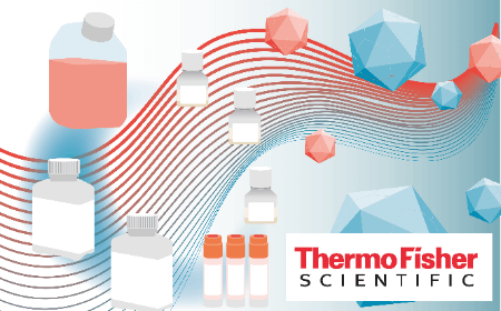 Optimizing vector production and purification to enhance scalable AAV manufacturing 
