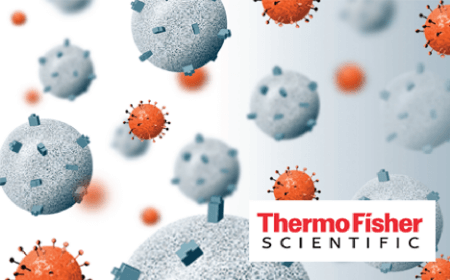 Simplifying lentiviral downstream processing with a novel affinity resin and robust analytical tools