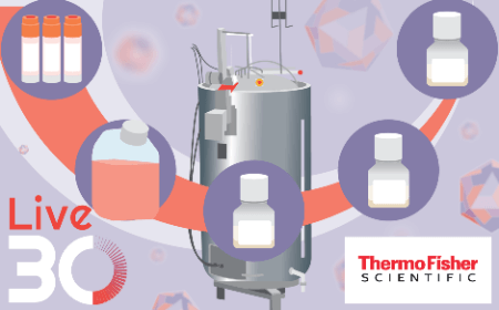 Scalable AAV production in single use bioreactors