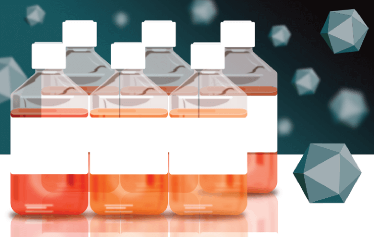 Optimizing HEK293 media for improved titers and VG/Capsid ratios