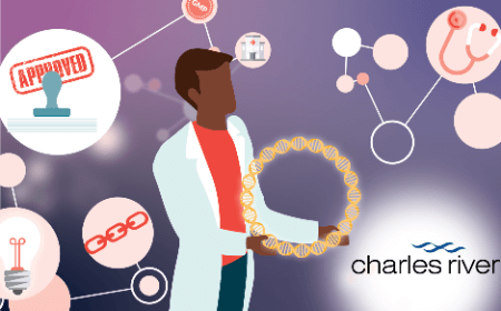 Sustainable plasmid DNA strategies: achieving streamlined, secured supply to clinic and commercialization