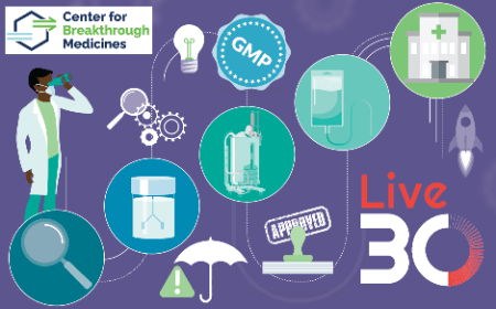 Ensure first-time right GMP production of gene therapies: Proven strategies for pre-clinical manufacturing and early process development