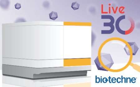 Eliminate hurdles of AAV purity assessment with capillary electrophoresis