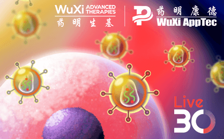 Development of lentiviral vector packaging and producer cell lines