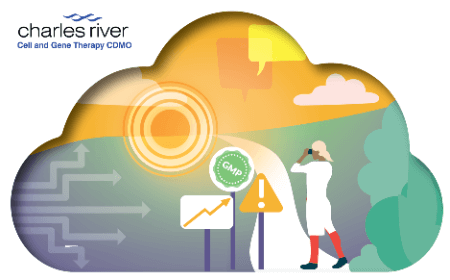 Pain points to potential: Positioning process and analytical development for next-gen cell therapies
