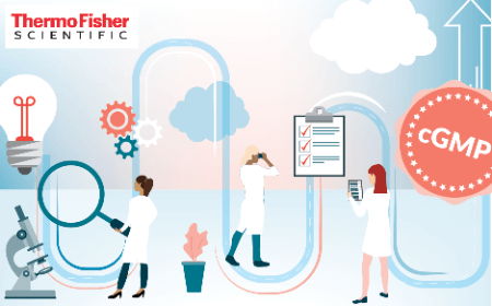 Overcoming challenges to succeed when transitioning into a cGMP environment