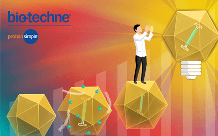 Emerging trends and challenges in AAV manufacturing for gene therapies