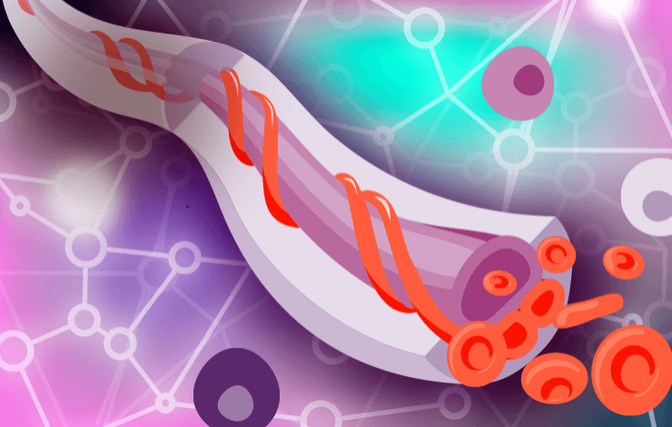 Leveraging the experience of cord blood banking in the development of cellular therapies