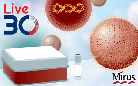 Improving AAV and LV upstream manufacturing using cGMP lipid polymer nanocomplexes (LPNCs)